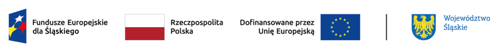 FE SL kolor poziom br