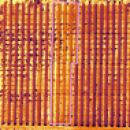 t10