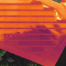 t17